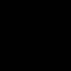 Meet your Posher, Jaylin